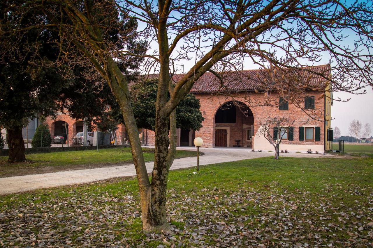 Villa Casa Norma Piano Terra à San Martino di Lupari Extérieur photo